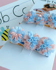 2pk Novelty Clips
