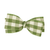 Hunter Gingham