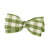 Hunter Gingham